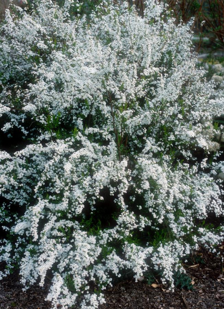 © Hortival Diffusion - Tous droits réservés