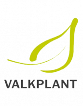 Valkplant Innovative Plants