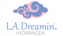 Logo L.A Dreamin'